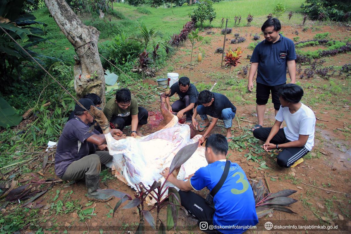 Dinas Kominfo Tanjab Timur Laksanakan Penyembelihan Hewan Qurban
